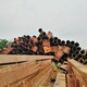 黄埔废铁废钢材回收图