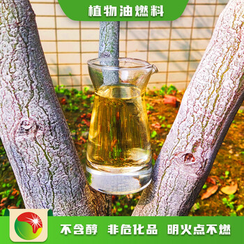 大同新荣区含金量高新型植物油燃料安全可靠