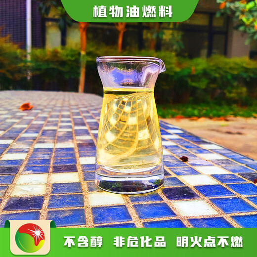 天津水性燃料油厨房植物油燃料燃料灶具厂,新能源烧火朗植物油燃料