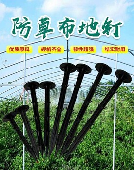 正宇除草地布,南充防草布盖草布