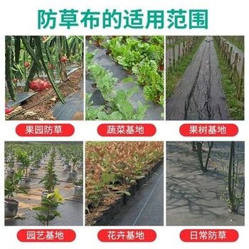 正宇盖草布,宣城防草布盖草布