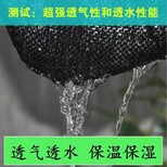 眉山防草布盖草布,除草地布图片4