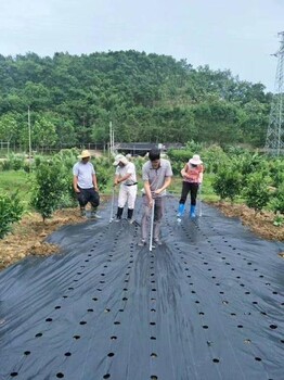 鞍山定制防草布盖草布厂家,除草地布