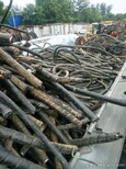 德庆县废旧电缆回收报价,再生资源回收图片3
