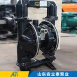 邵阳销售BQG气动隔膜泵放心省心,自动型气动隔膜泵图片1