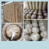 明月/松冠褐藻酸鈉,上海楊浦增稠劑海藻酸鈉廠家價格