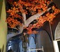 濮陽室內假樹,一種景觀工程