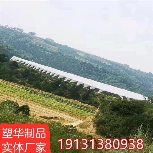 塑华果园防雹网,上海销售防雹网厂家