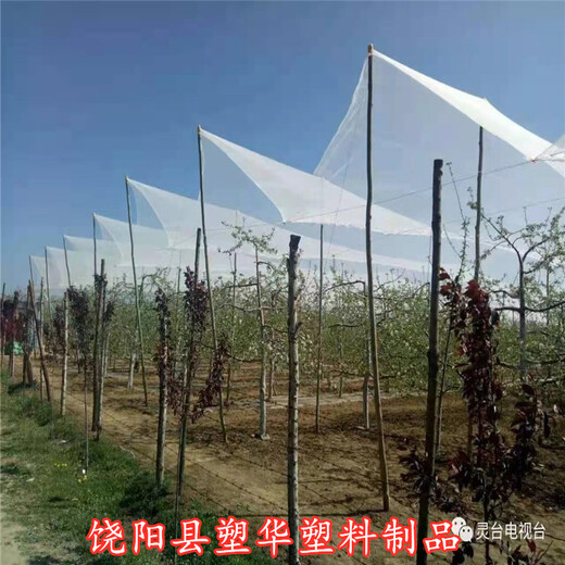 塑华果园防雹网,上海坚实防雹网品质优良