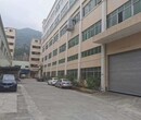 東莞黃江二樓標準廠房出租有多大