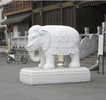 衢州石材雕塑-動物雕塑