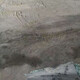 湖北混凝土裂缝修补剂图