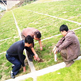 丽江植生砼护坡增强剂厂家图片3