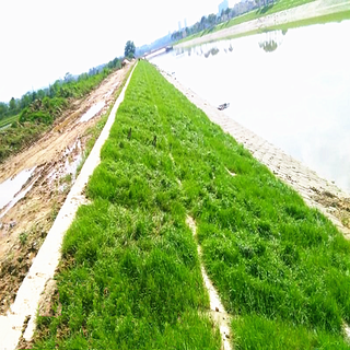 中德新亚生态混凝土增强剂,平凉植生砼护坡增强剂厂家图片3