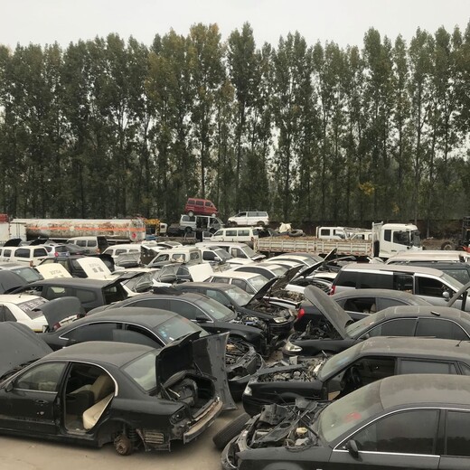 郑州承接机动车报废回收多少钱一辆,黄标车回收