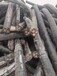漳州电缆电线回收,工程废电缆头
