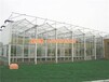 玻璃溫室價格吐魯番玻璃溫室玻璃溫室建設