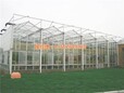 玻璃温室价格吐鲁番玻璃温室玻璃温室建设