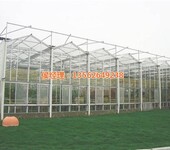 玻璃温室价格吐鲁番玻璃温室玻璃温室建设