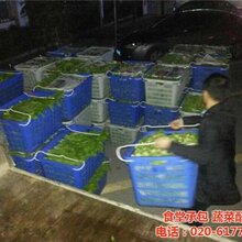 康峰餐饮图蔬菜配送公司萝岗区蔬菜配送图片