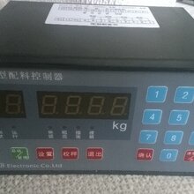 LN965A15-J称重控制器说明书图片