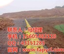 本溪塑料格栅,鹏跃材料,abs工程塑料格栅