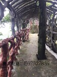 湖南贵州江西塑石假山假树大门木纹栏杆施工队伍图片2