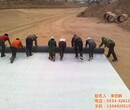 膨润土防水毯性能膨润土防水毯钠基膨润土垫在线咨询图片
