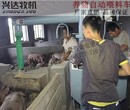 猪用自动喂料车,湛江市喂料车,兴达牧机养猪设备图片