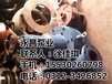 永昌泵業圖_紙漿泵葉輪_上海紙漿泵