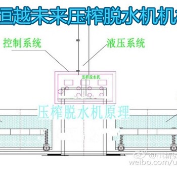 恒越未来HYWL-200L杨梅压榨机橙子压榨机果蔬压榨脱水机