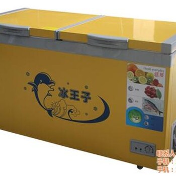 盛世凱迪圖_商用臥式冰柜批發(fā)_廊坊商用臥式冰柜