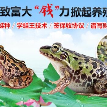 泰蛙雜交9號(hào)生態(tài)養(yǎng)殖招商加盟