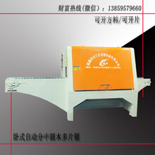 福建多片锯厂家4-12卧式自动分中开片圆木多片锯