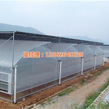 光伏大棚價格克拉瑪依大棚價格新型大棚價格