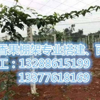 揭陽百香果棚架搭建