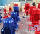 65100抚州管道离心泵,强能工业泵,管道离心泵命名图片