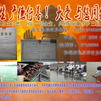 九江放生魚苗明輝水產