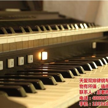 双排键电子琴天爱钢琴双排键双排键电子琴购买