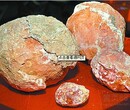 陕西蛋化石鉴定技巧图片