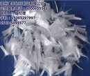 单丝聚丙烯纤维忻州聚丙烯纤维建邦化纤图片