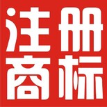 达达加急商标公司代理商标、包地址注册公司、欢迎来电图片0