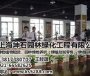 观赏植物租售坤石园林图徐汇观赏植物租售图片