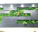 立体绿化，垂直绿化，仿真植物墙