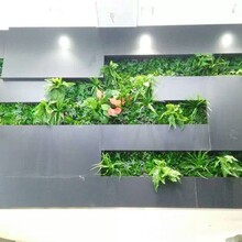 立体绿化，垂直绿化，仿真植物墙