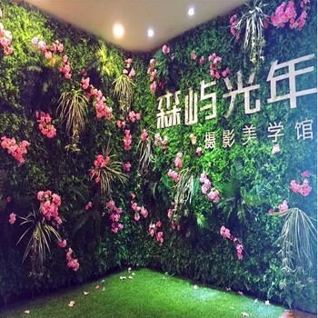 廣州天河辦公室綠植租擺室內綠植租賃銷售