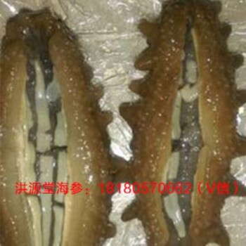 洪源堂30頭海參哪里買_海參營養(yǎng)價值