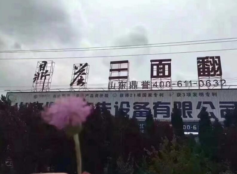 顾诗的头像