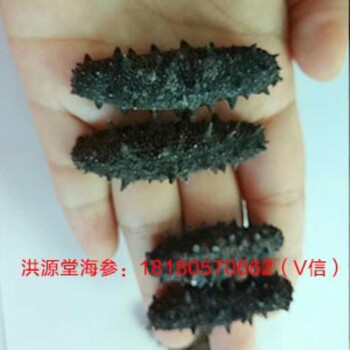 洪源堂海參如何買_海參小米粥的做法