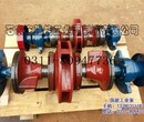 200S63单级双吸泵型号沈阳双吸泵强能工业泵图片